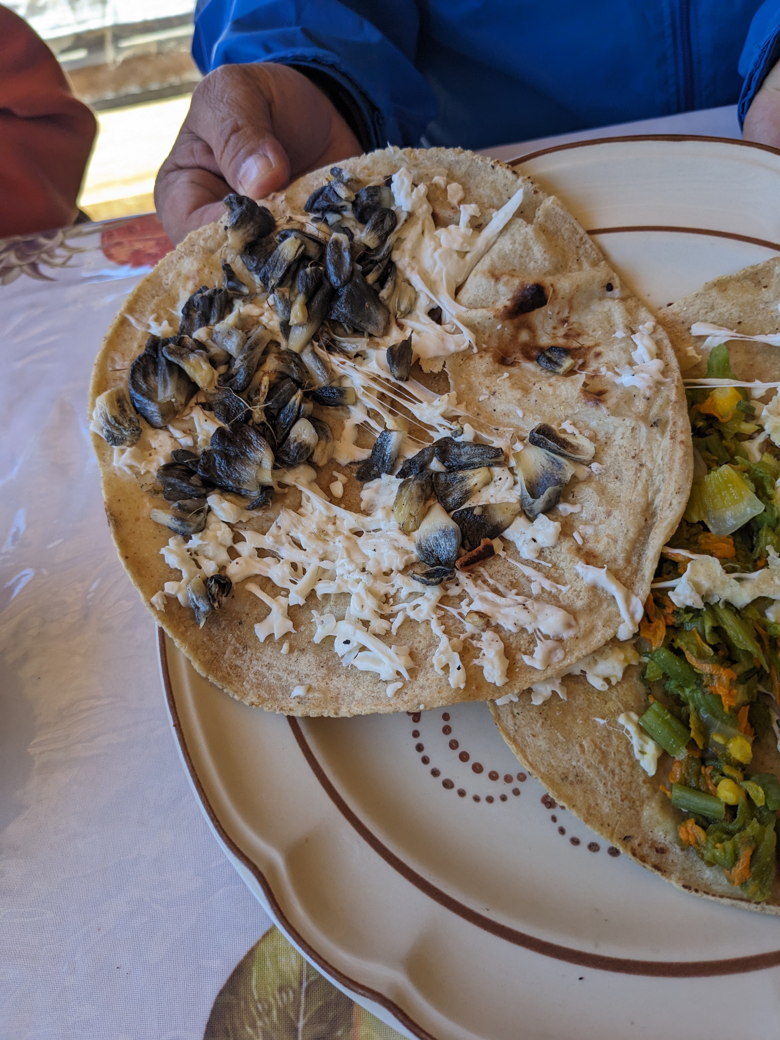 Huitlacoche