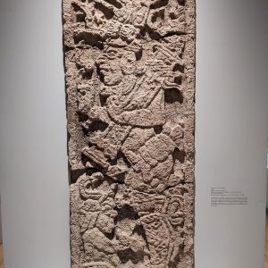 pxl 20230405