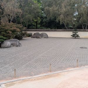 pxl 20250729